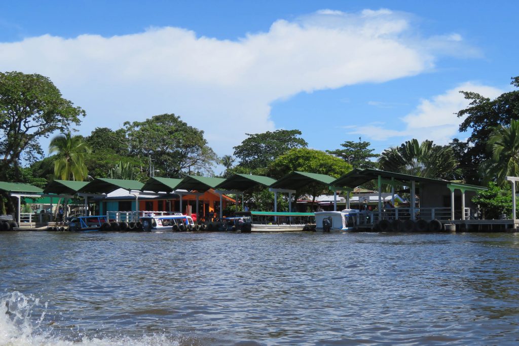 Tortuguero