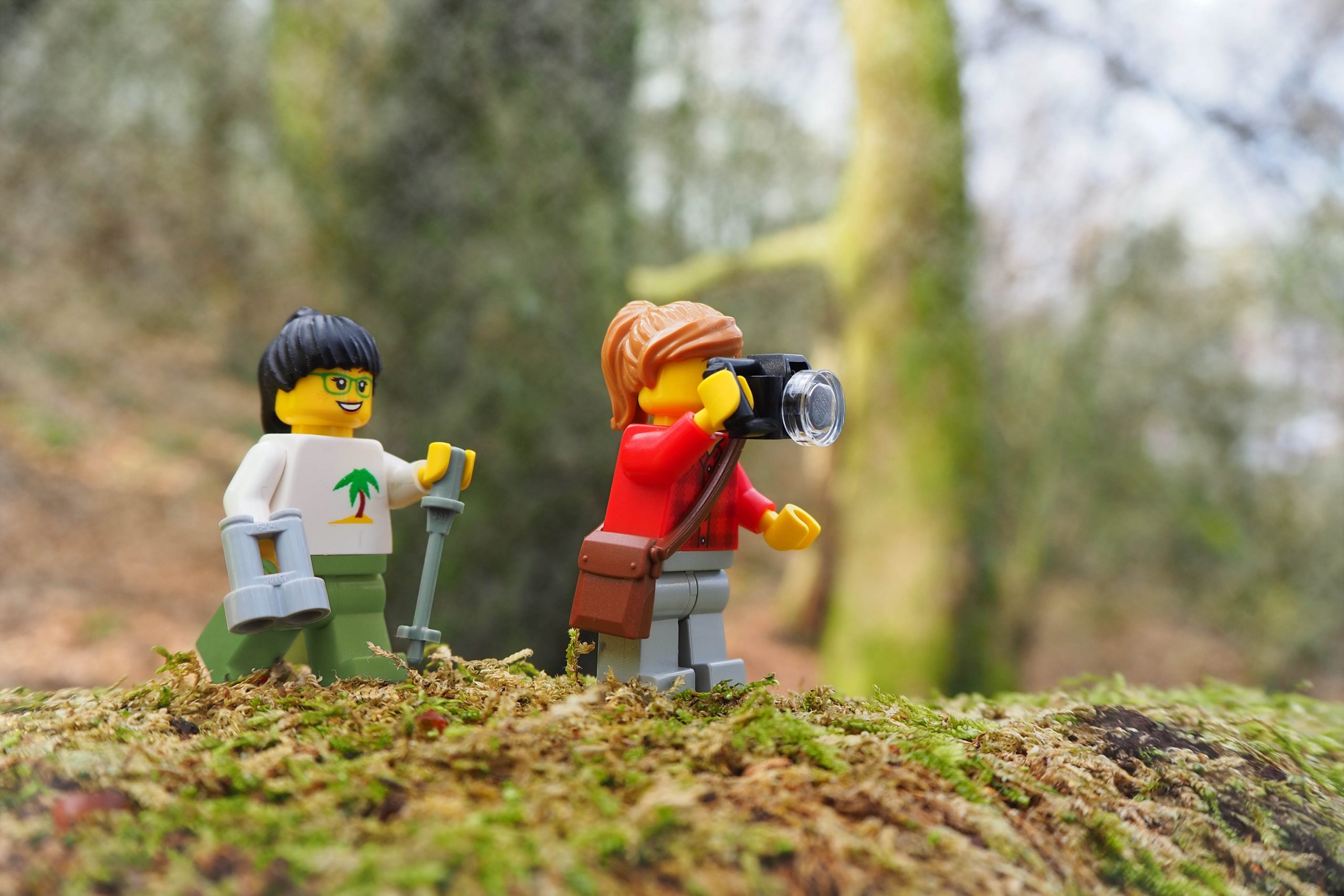 Lego hiking in Cloud Forest, Costa Rica