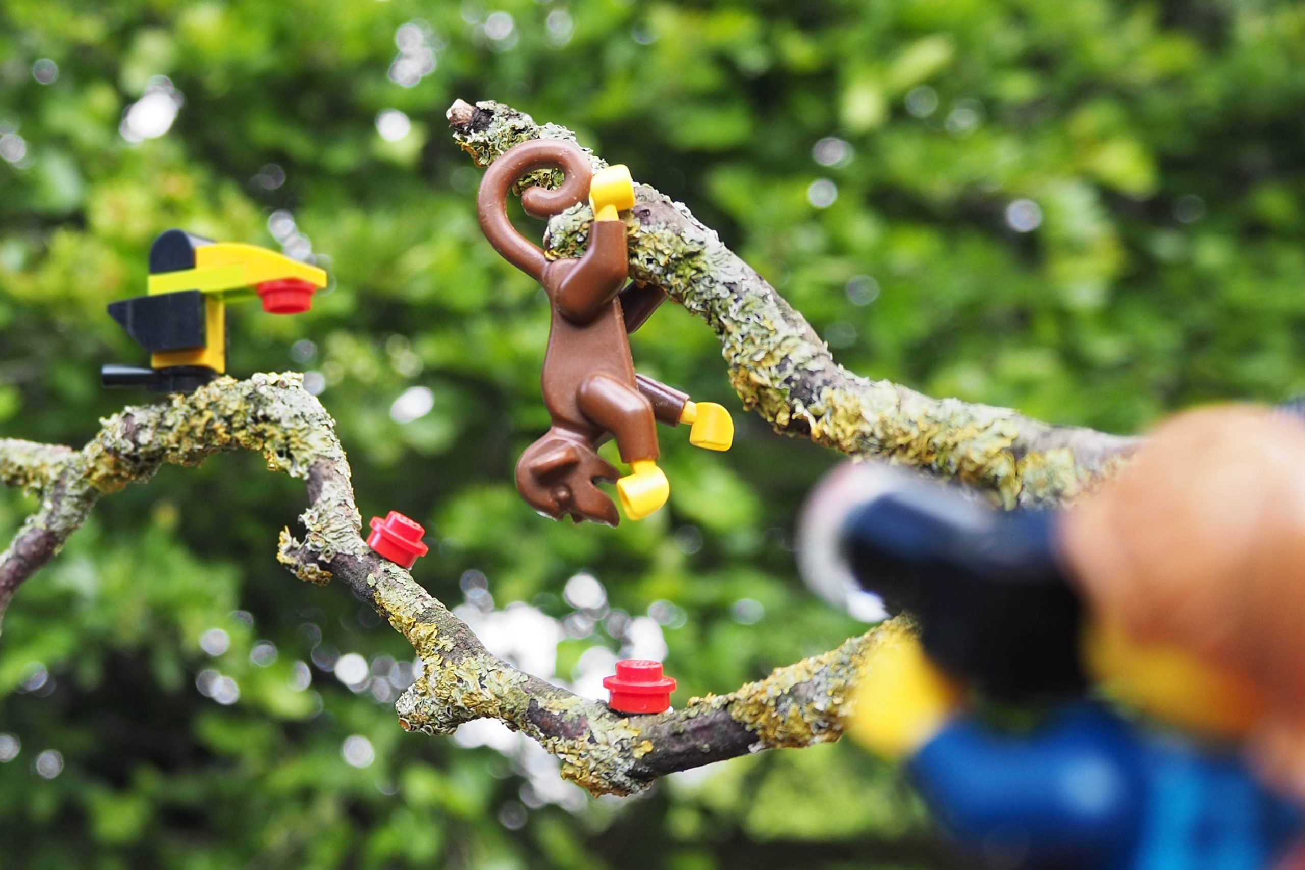 Lego toucan monkey